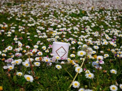 bougie parfumée l'art osé toulouse