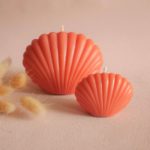 Bougie Coquillage